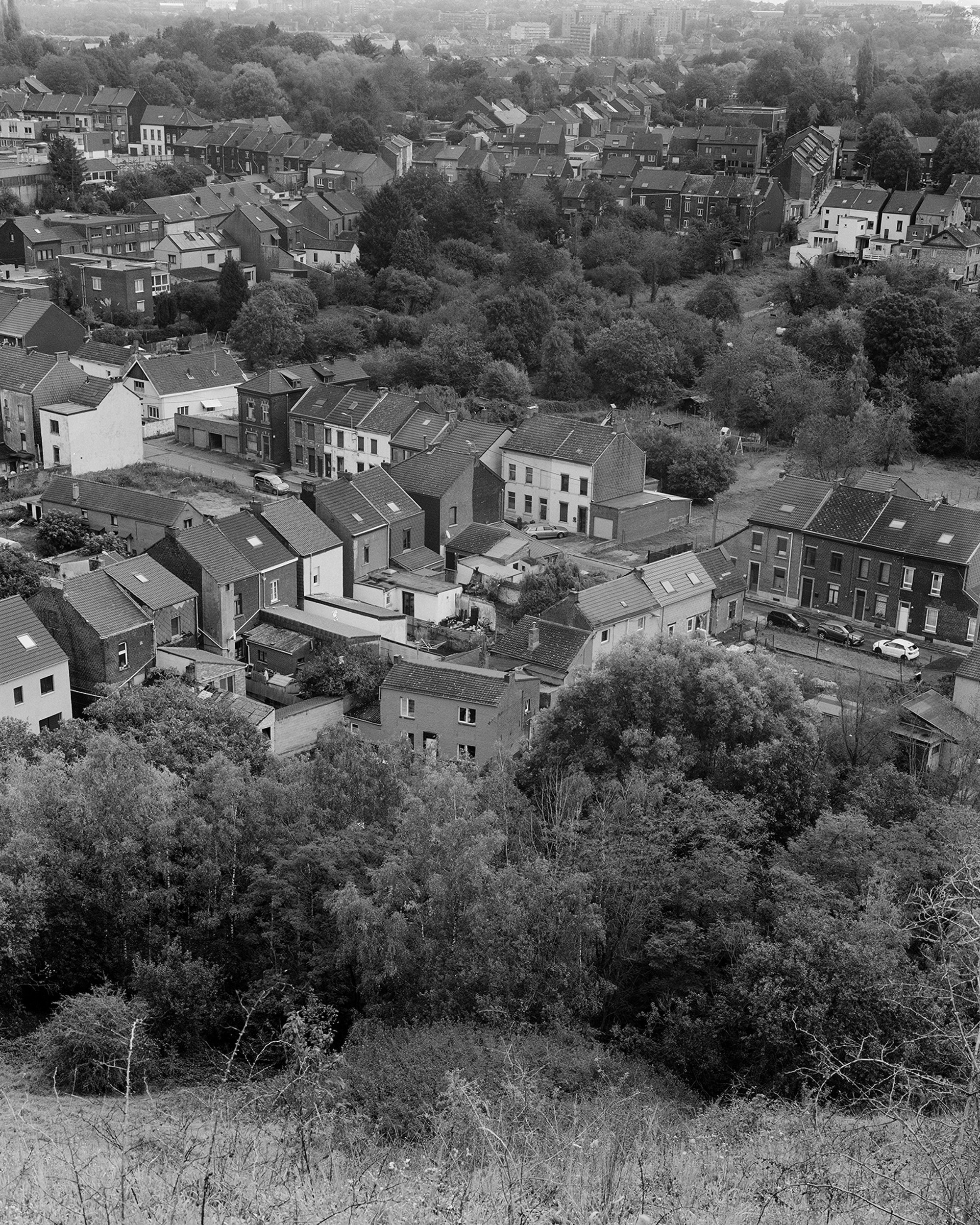 1 Phoenix Romain Cavallin Sarah Lowie 2023