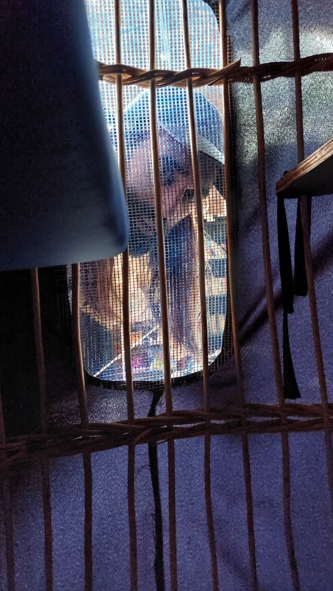 20230628 135242 28 06 2023 13 54 21